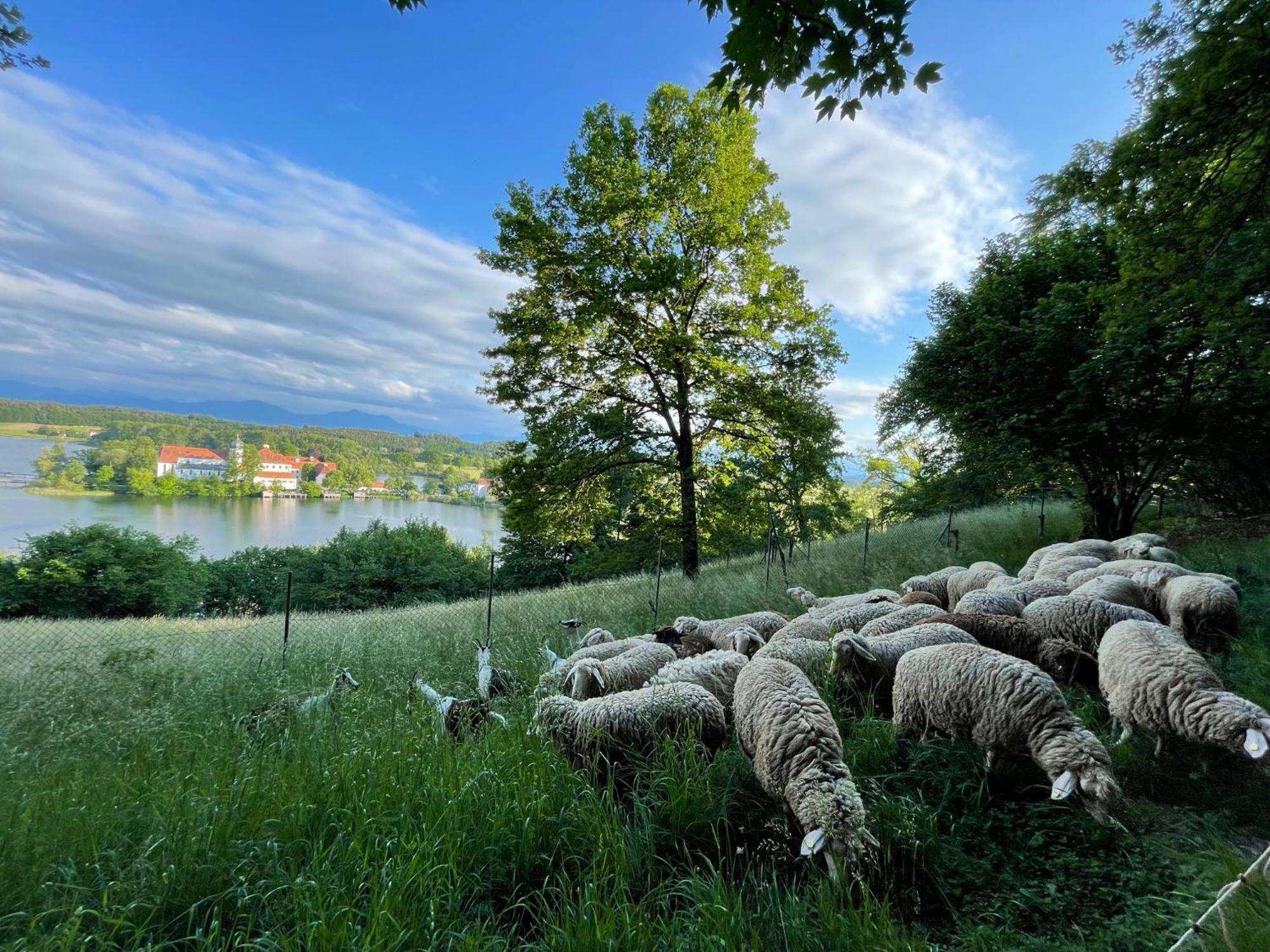 Seeblick Chiemgau, Haus Am Weinberg, 83370 Seeon Oberbayern Экстерьер фото